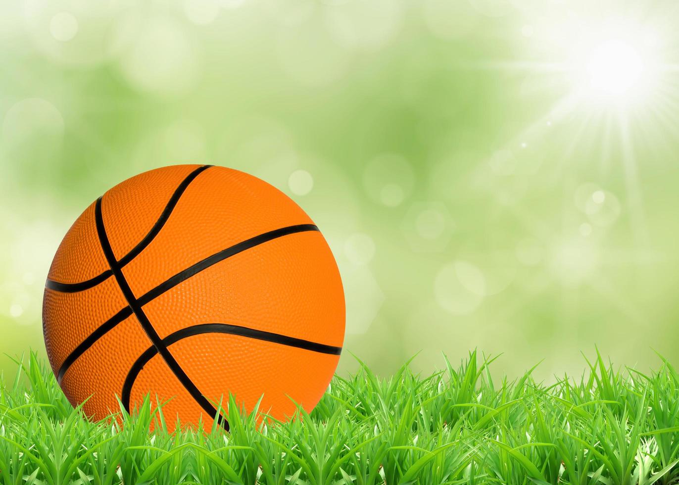 Basketball Ball on the Grass photo