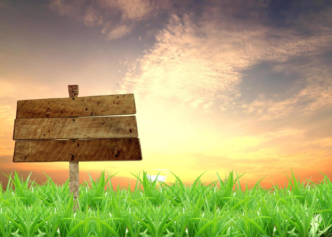 sign with sunset and grass in the background photo