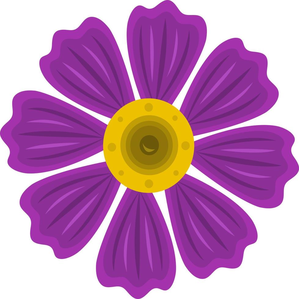 Purple cosmos flower vector illustration for graphic design and decorative element