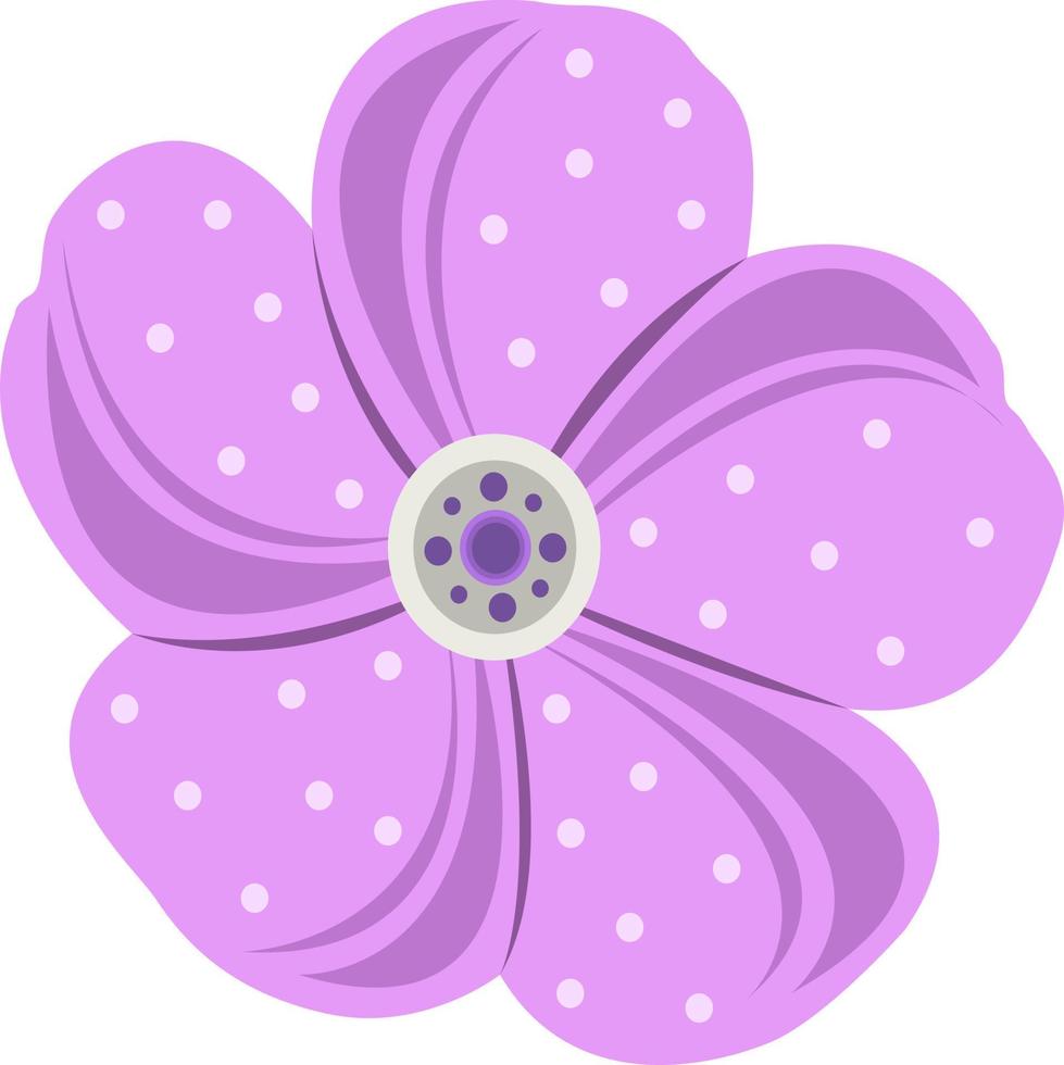 Geranium flower vector illustration for graphic design and decorative element