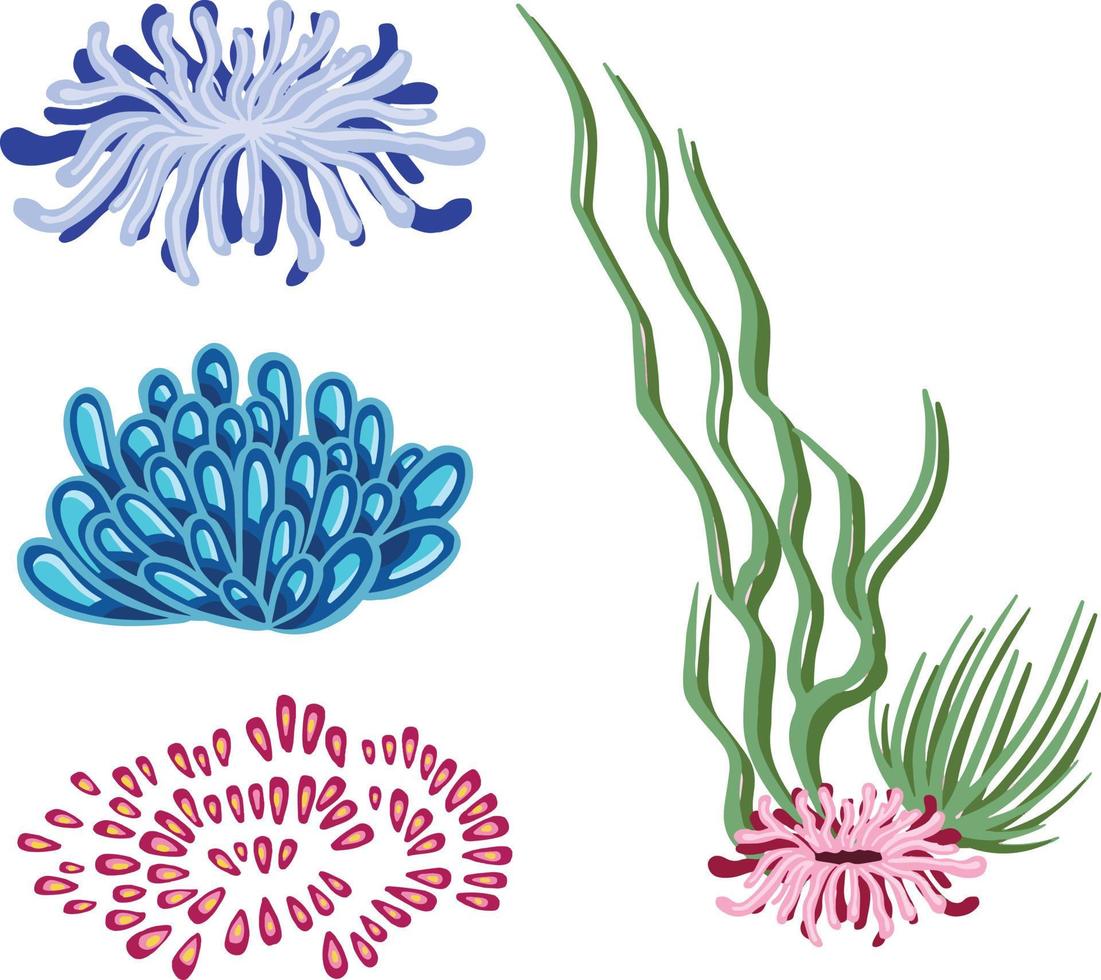 conjunto de plantas vectoriales marinas, algas dibujadas a mano vector