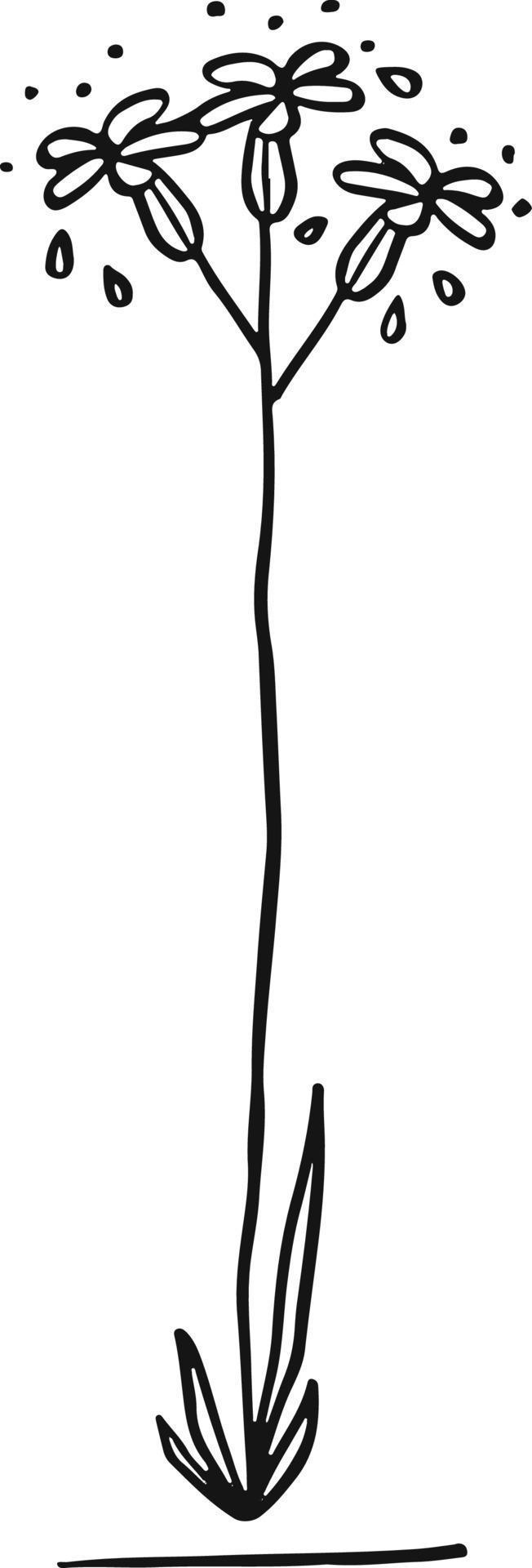 Line sketch bundle silhouette vector 12620486 Vector Art at Vecteezy