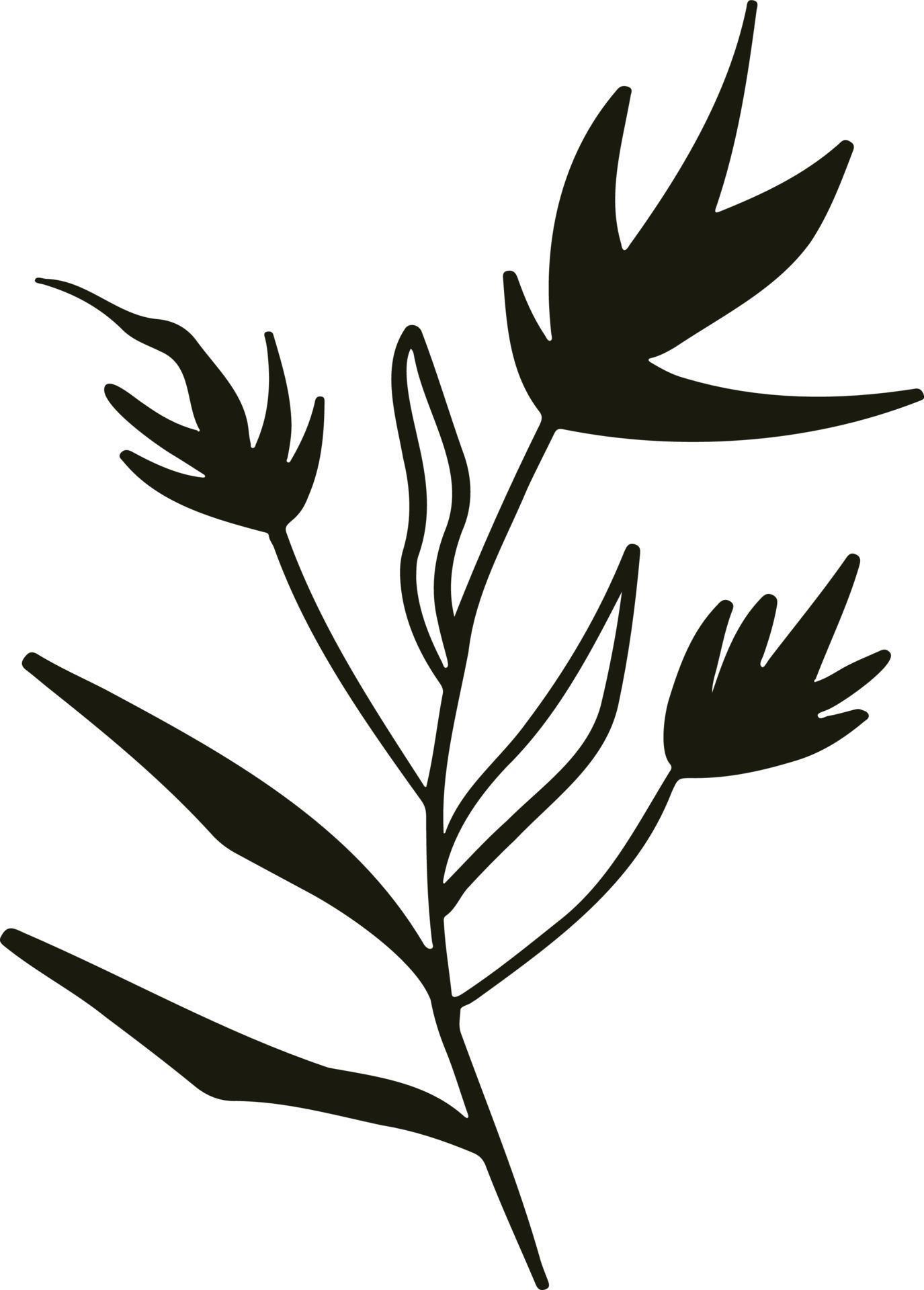 Line sketch bundle silhouette vector 12620512 Vector Art at Vecteezy