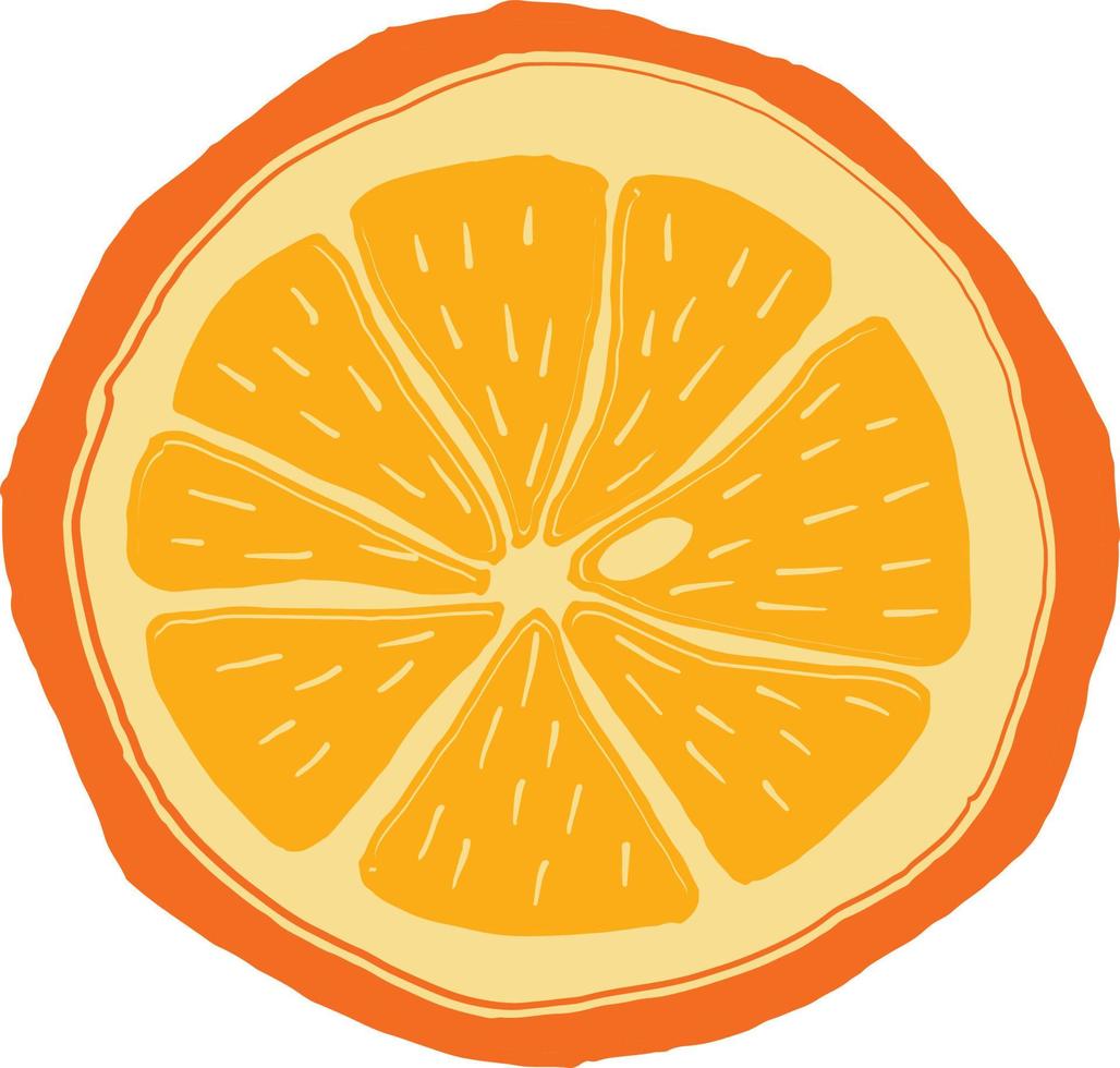 rodajas de naranjas. ilustración vectorial vector