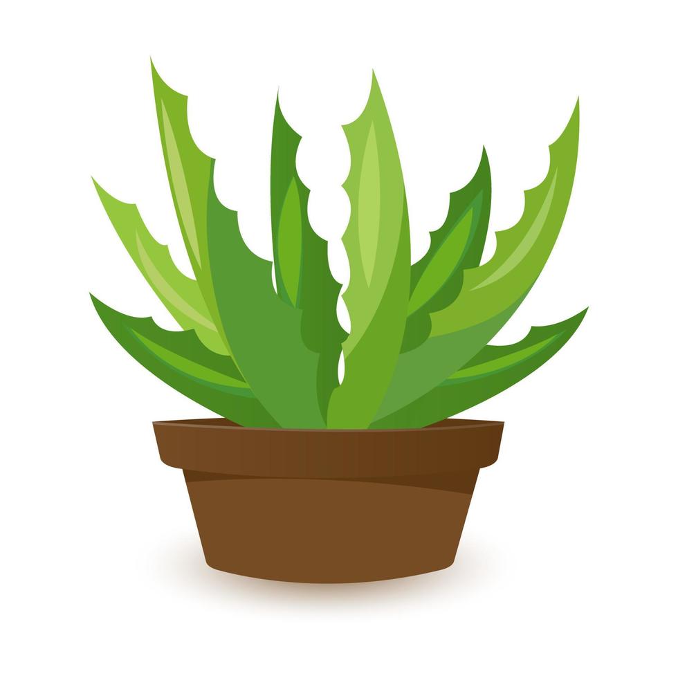 iconos de cactus en estilo plano sobre fondo blanco. cactus caseros en una maceta y flores. variedad de cactus decorativos con espinas vector