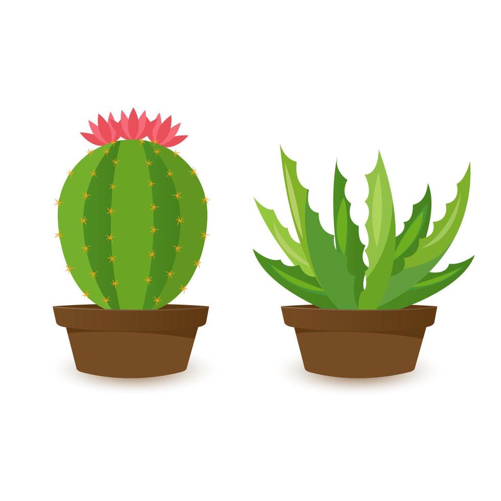 conjunto de pancartas del desierto, mundo de cactus verde. estilo de dibujos animados plana. ilustración vectorial aislado sobre fondo blanco. elementos de diseño vector