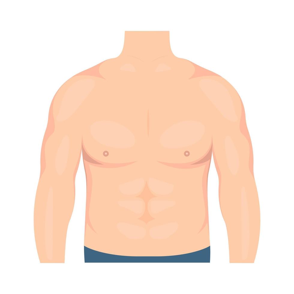 Vector illustration of a male torso