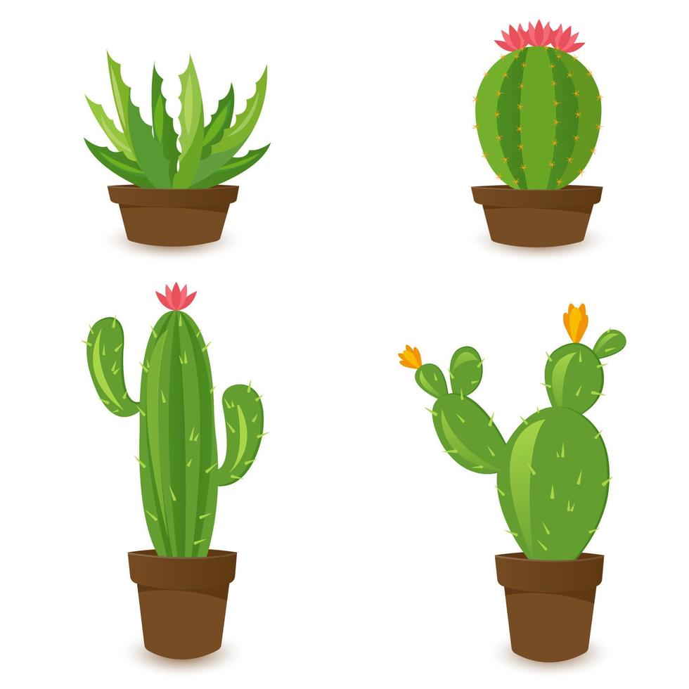 Desert banner set, green cactus world. Flat cartoon style. Vector illustration isolated on white background. Design elements