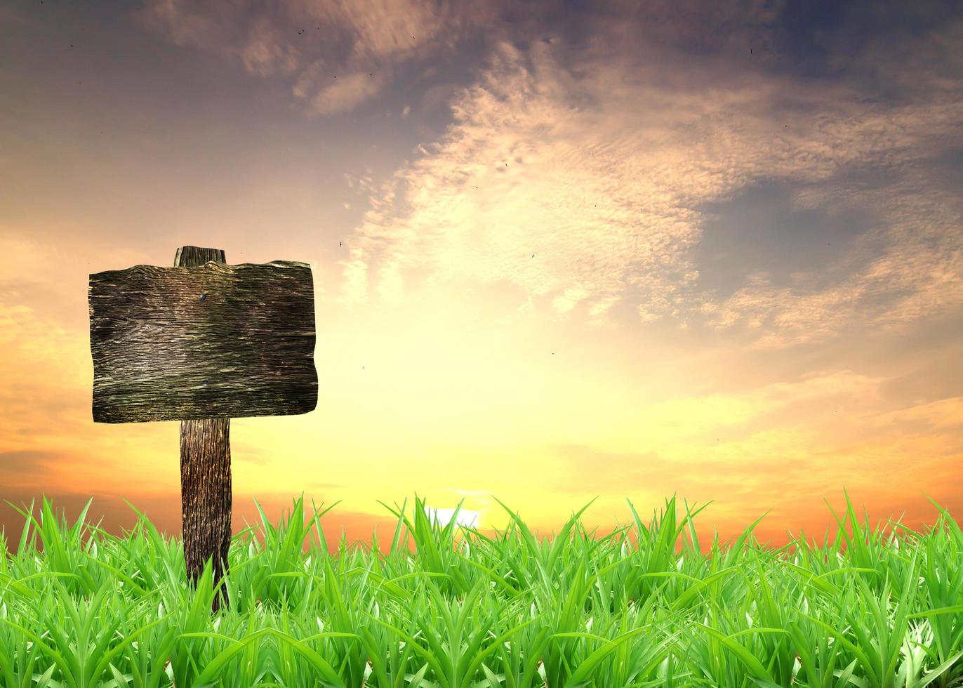 sign with sunset and grass in the background photo