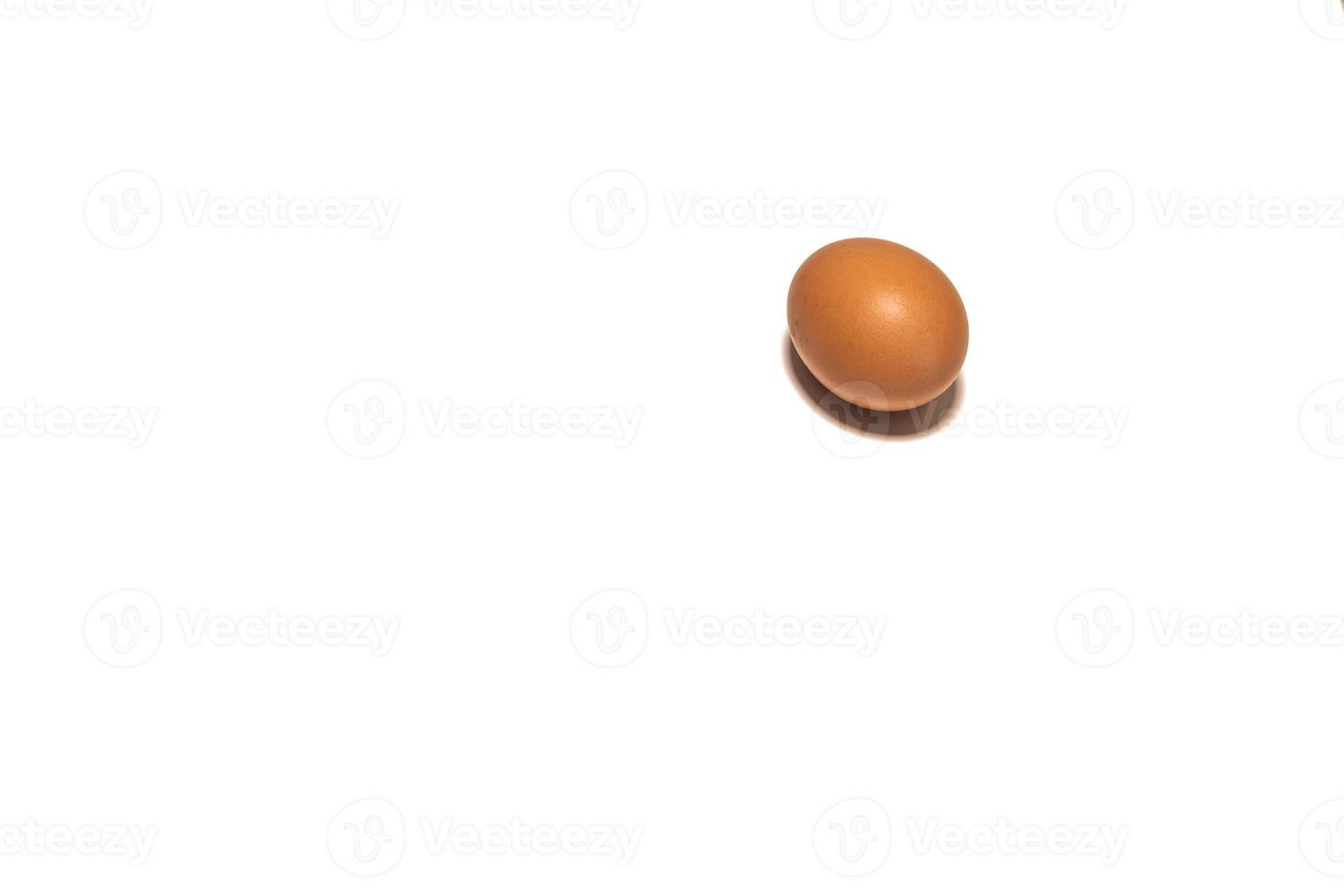 Organic brown chicken egg on white background photo