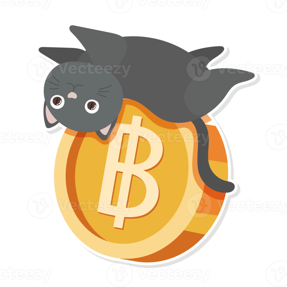 cat and coin cartoon png