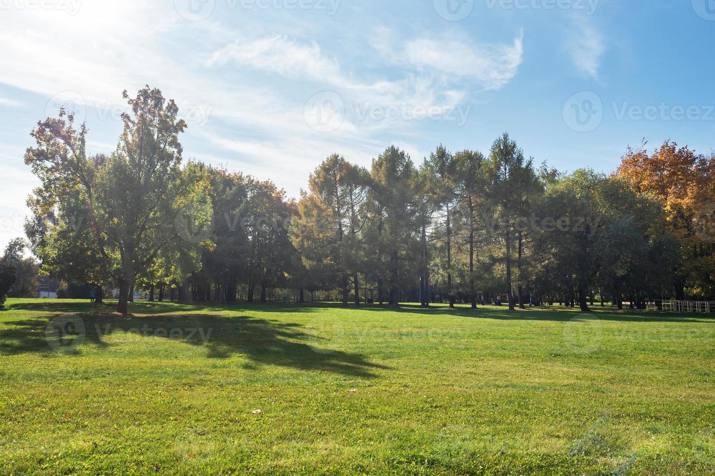 Autumn in the city Park, trees in yellow foliage photo