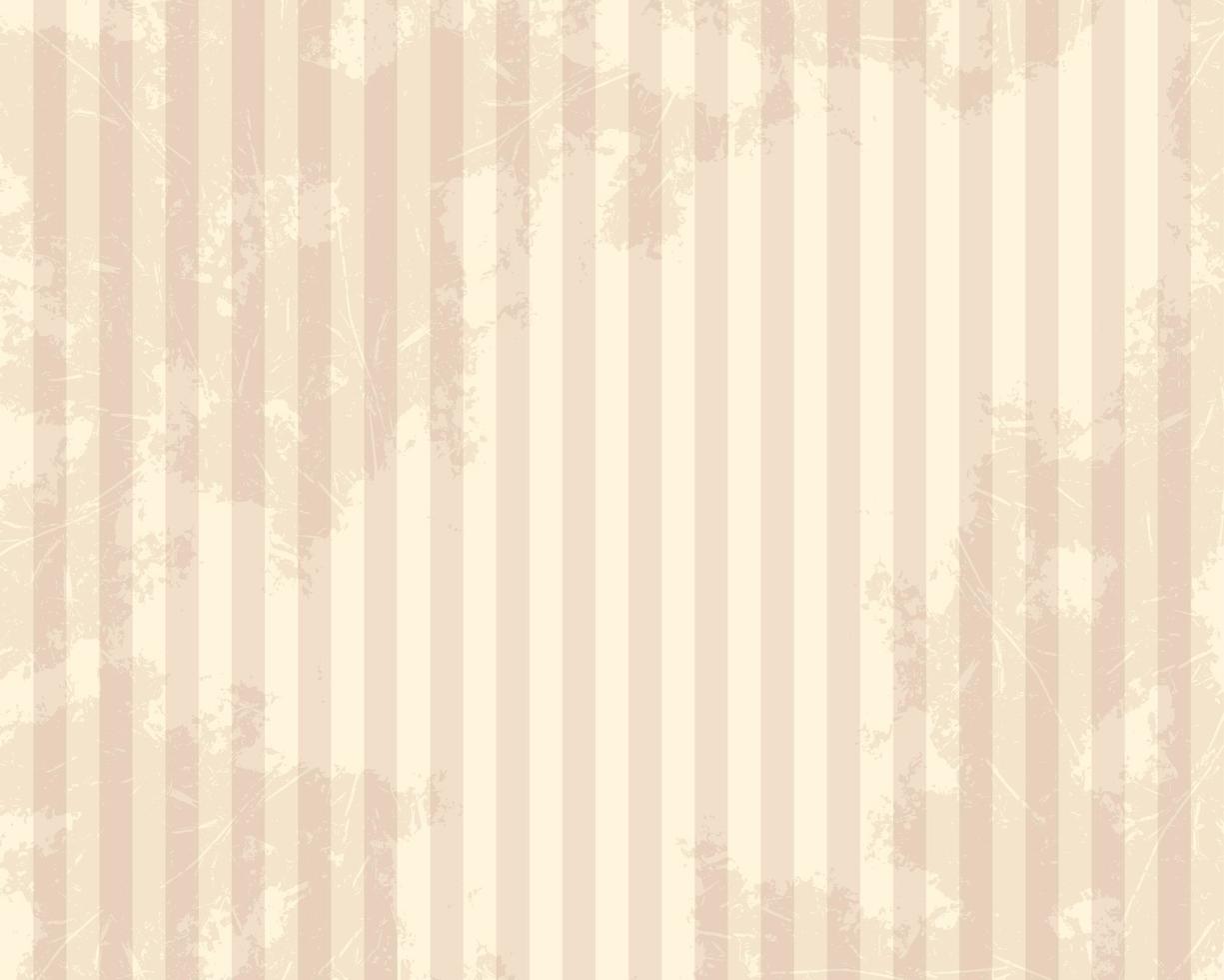 Cream Vintage Grunge Texture Background vector