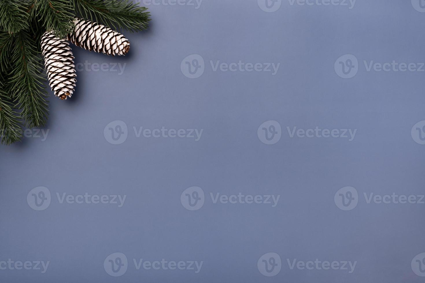 Christmas Mockup with fir branches and cones photo
