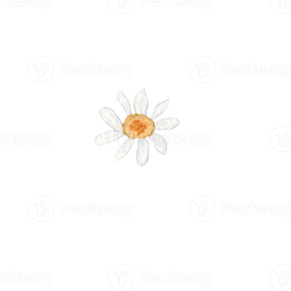 waterverf wild bloemen png