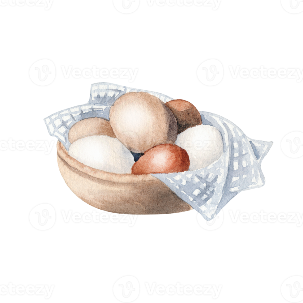 Watercolor farm eggs png