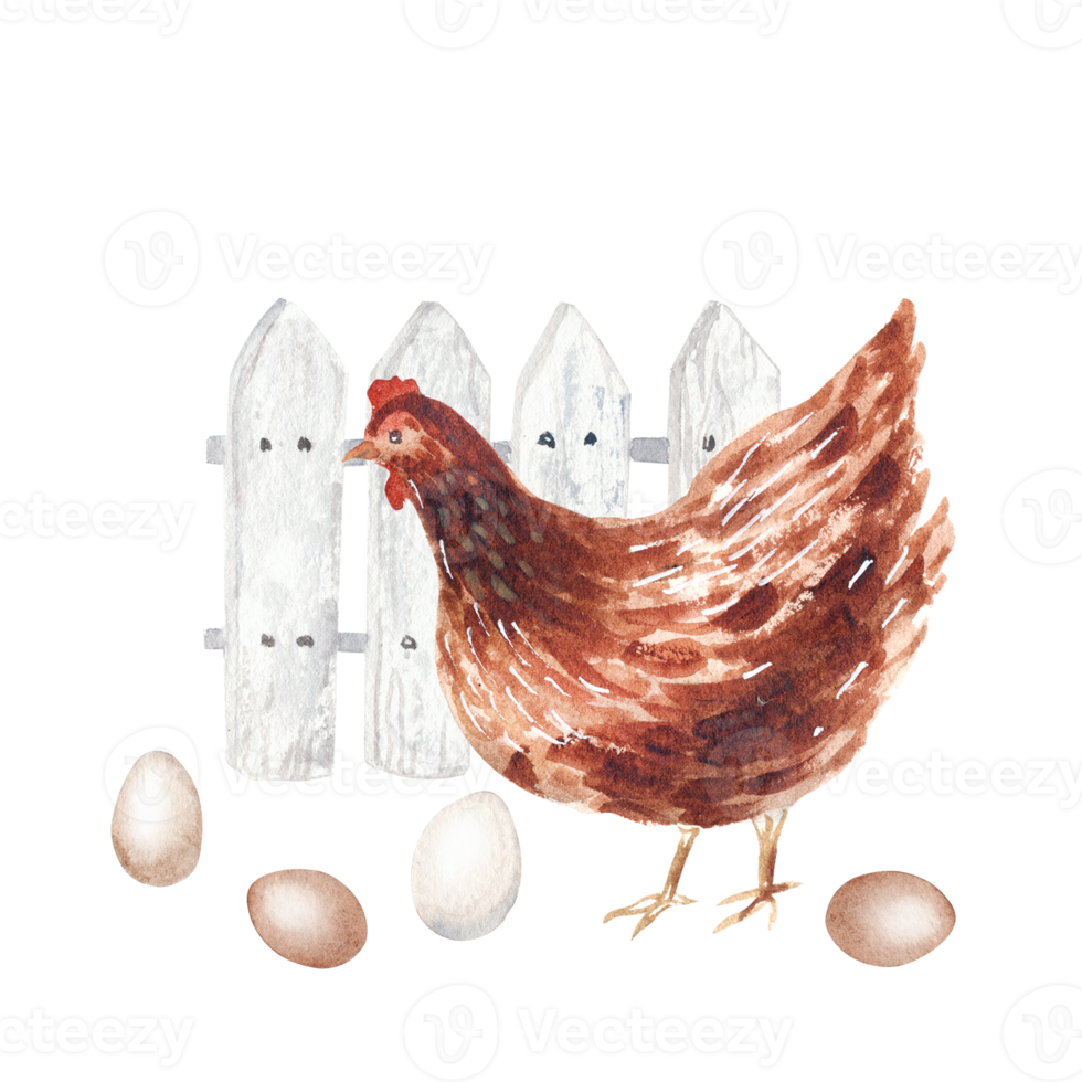Watercolor hen with eggs png
