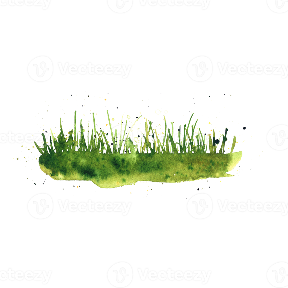 Watercolor green grass png