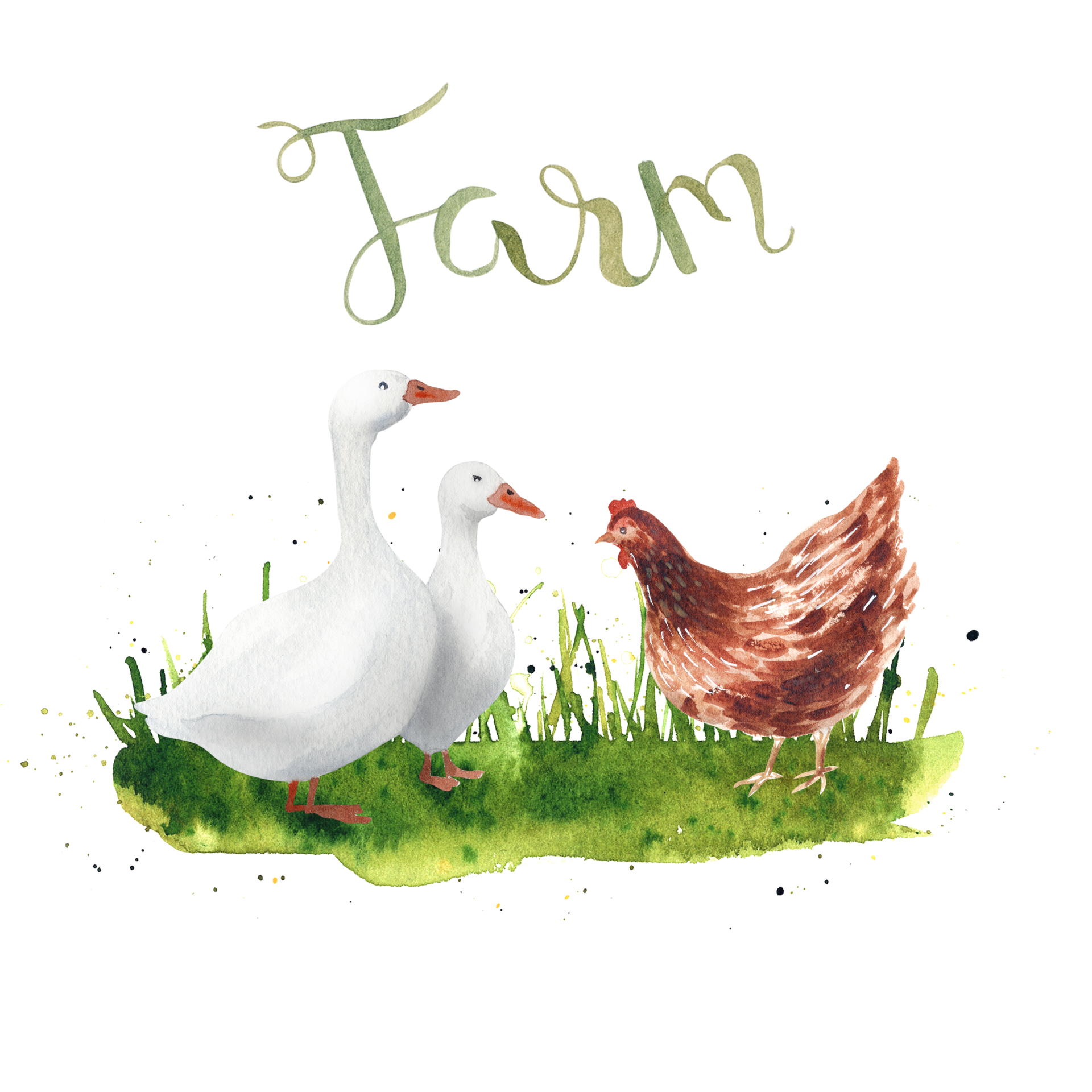 Watercolor farm goose and hen 12623436 PNG
