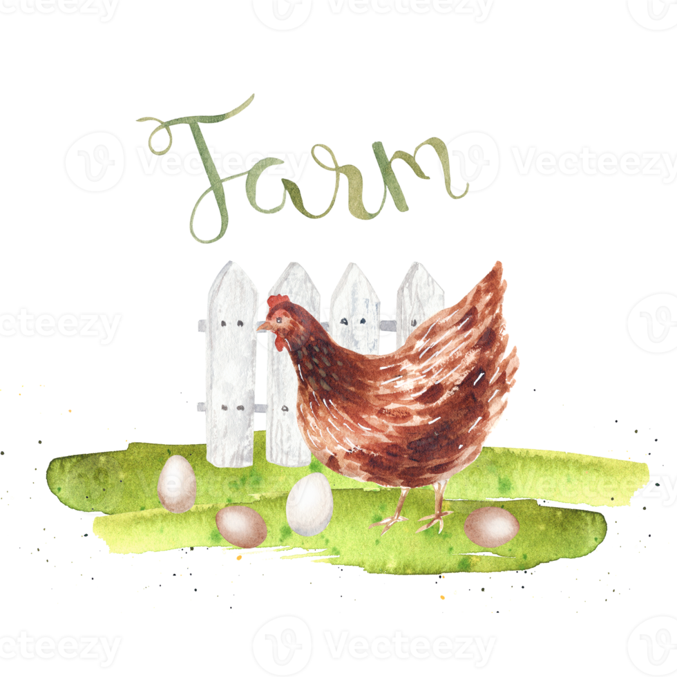 Watercolor farm goose and hen png