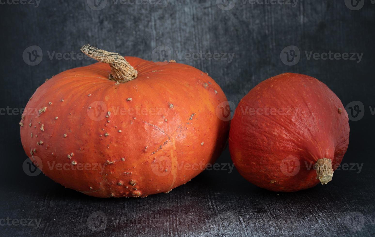 Two Hokkaido pumpkins of different sizes lie side by side against a gray background. The pumpkins glow orange. photo