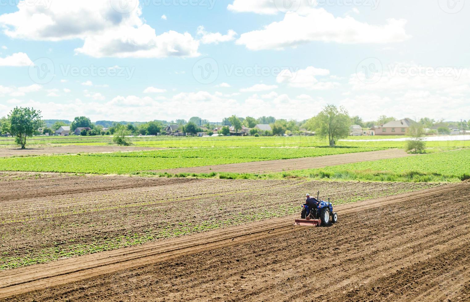 un tractor monta en un campo agrícola. aflojando la superficie, cultivando la tierra para plantar más. ganadería y agricultura. el agricultor en un tractor con fresadora afloja, muele y mezcla el suelo. foto