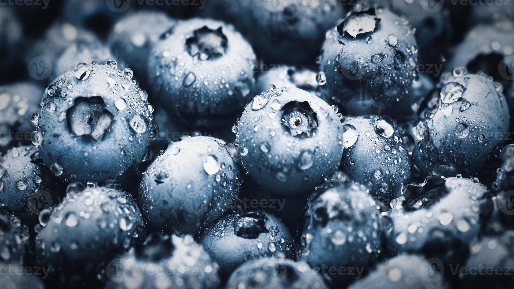 Blueberry macro texture, blueberries wet with water drops closeup photo