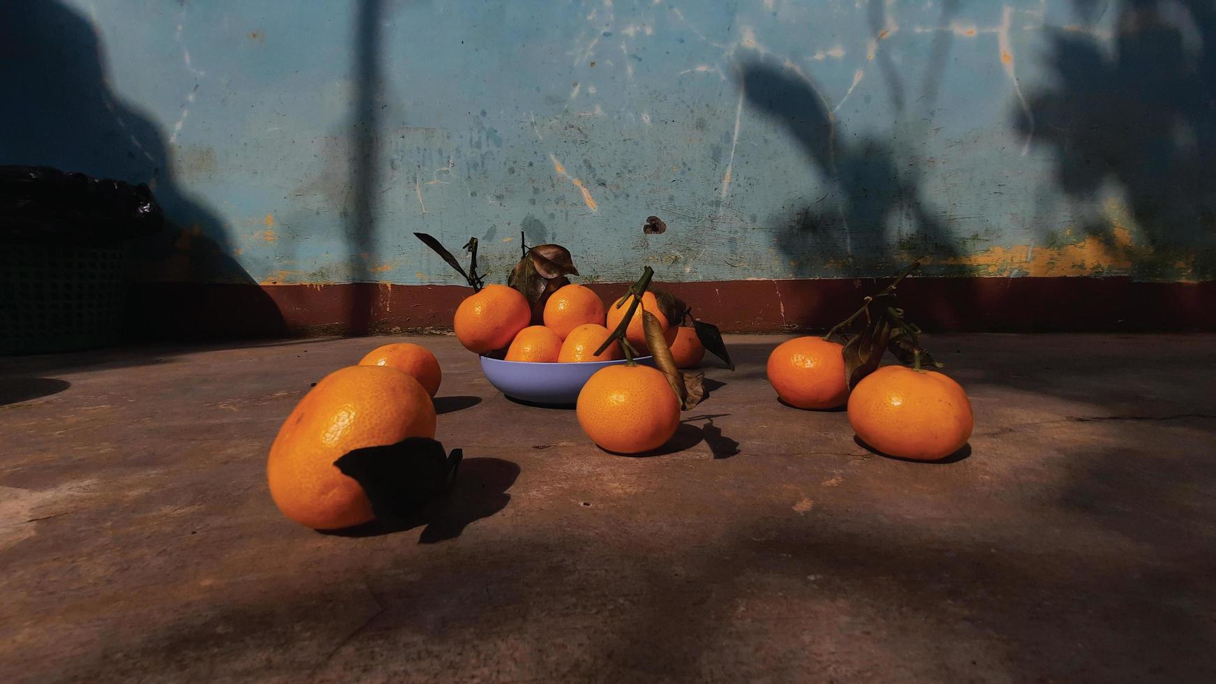 Citrus fruits scattered on the cement floor exposed during Chinese New Year-02 photo