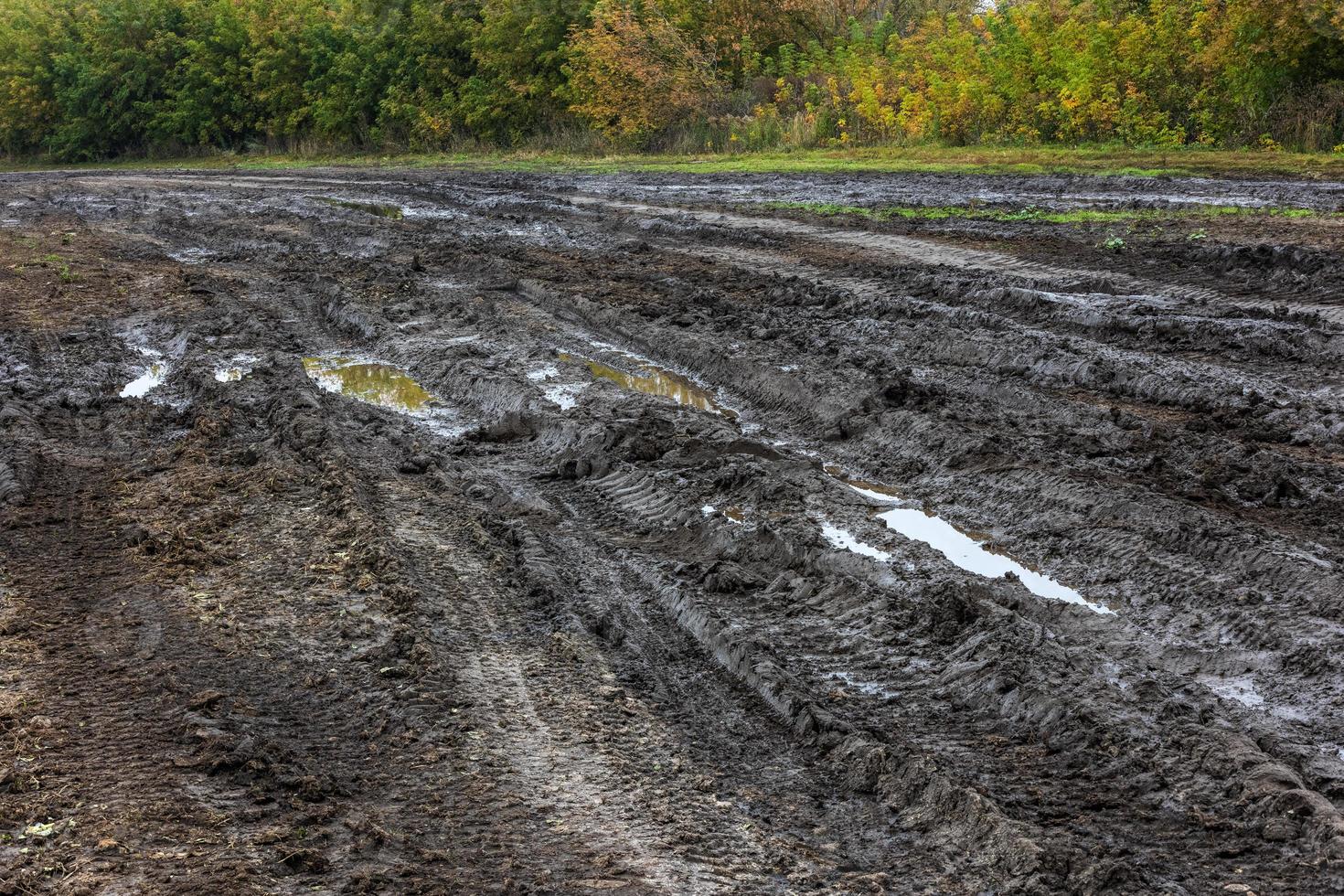 wide dirt road near agricultural field at misty autumnal morning photo