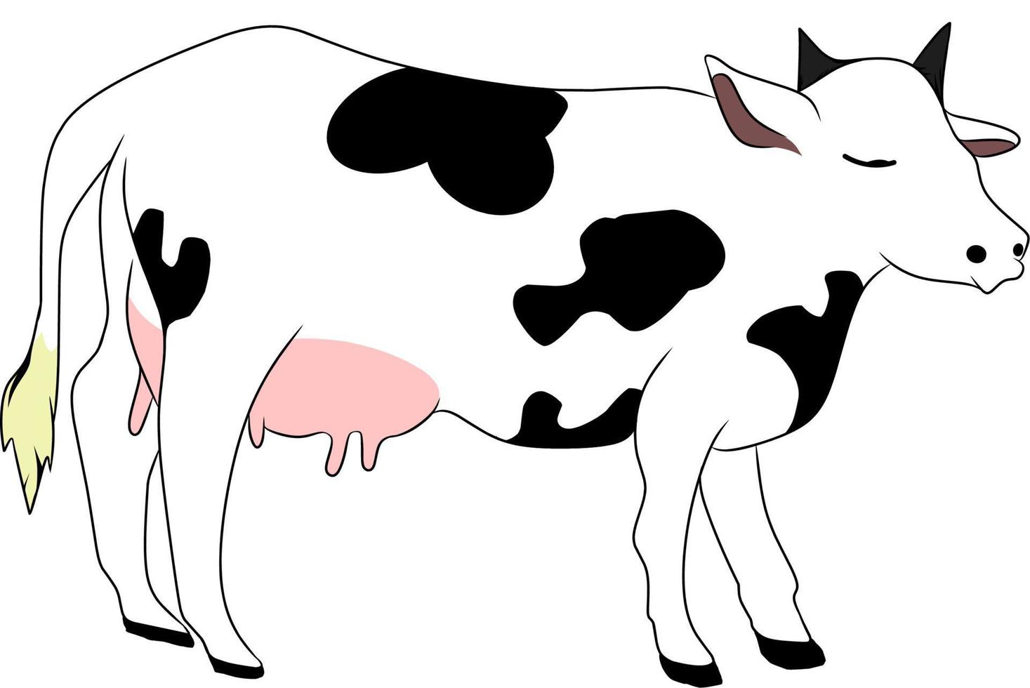 mejor imagen vectorial de una vaca. se puede utilizar para elementos de diseño, educación y otros. vector