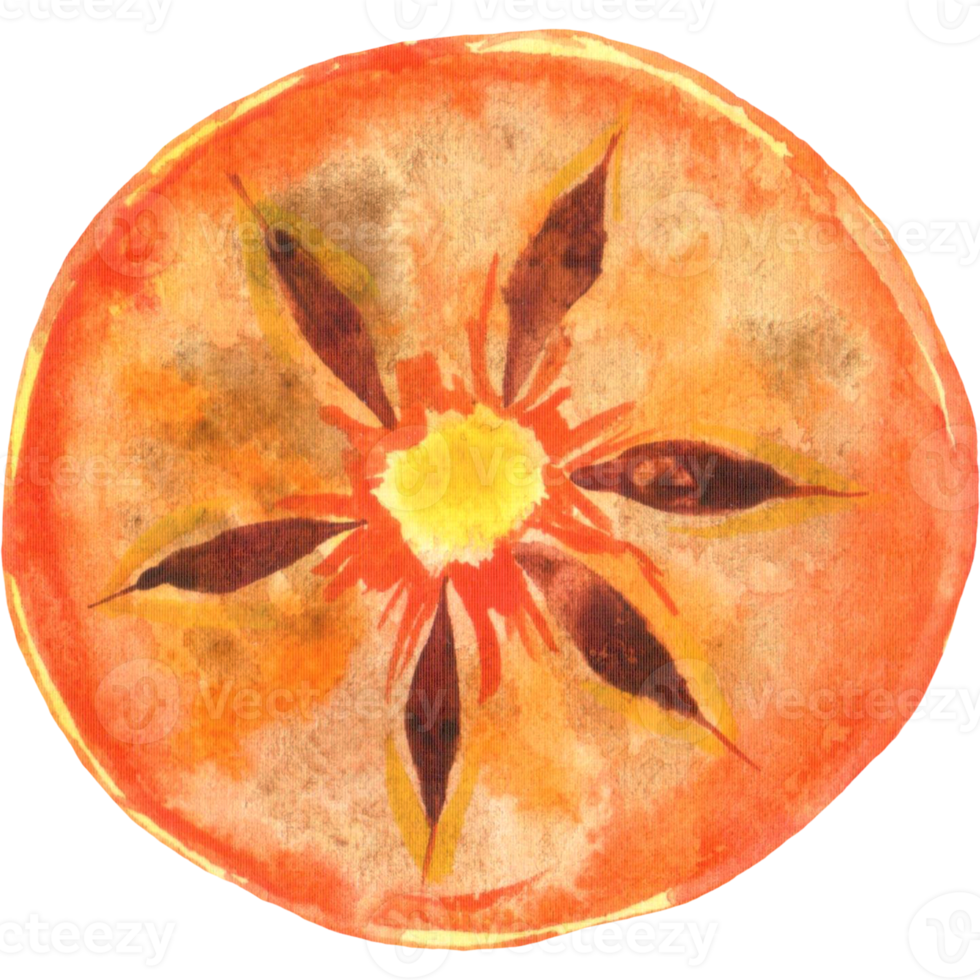 Watercolor cut persimmon png