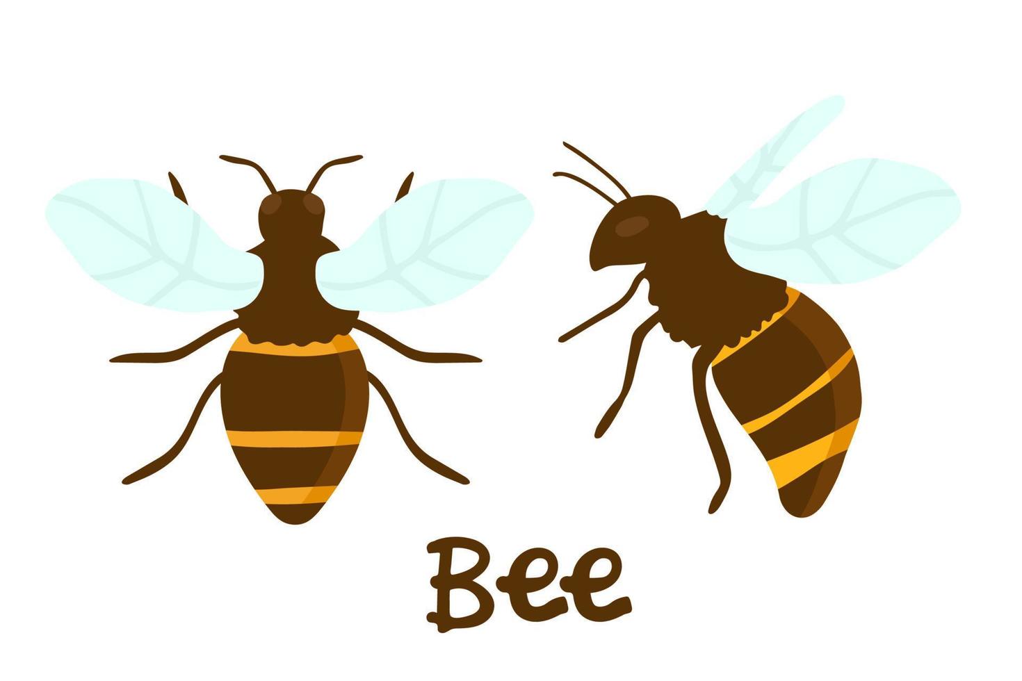 conjunto de ilustración de grabado vectorial de abeja melífera sobre fondo blanco dibujo a mano plano vector