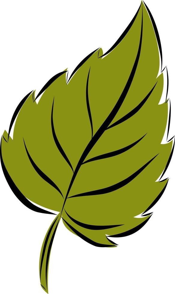 Colorful autumn leaves. Simple cartoon flat style. Isolated on white background vector illustration. Design for stickers, logo, web and mobile app.