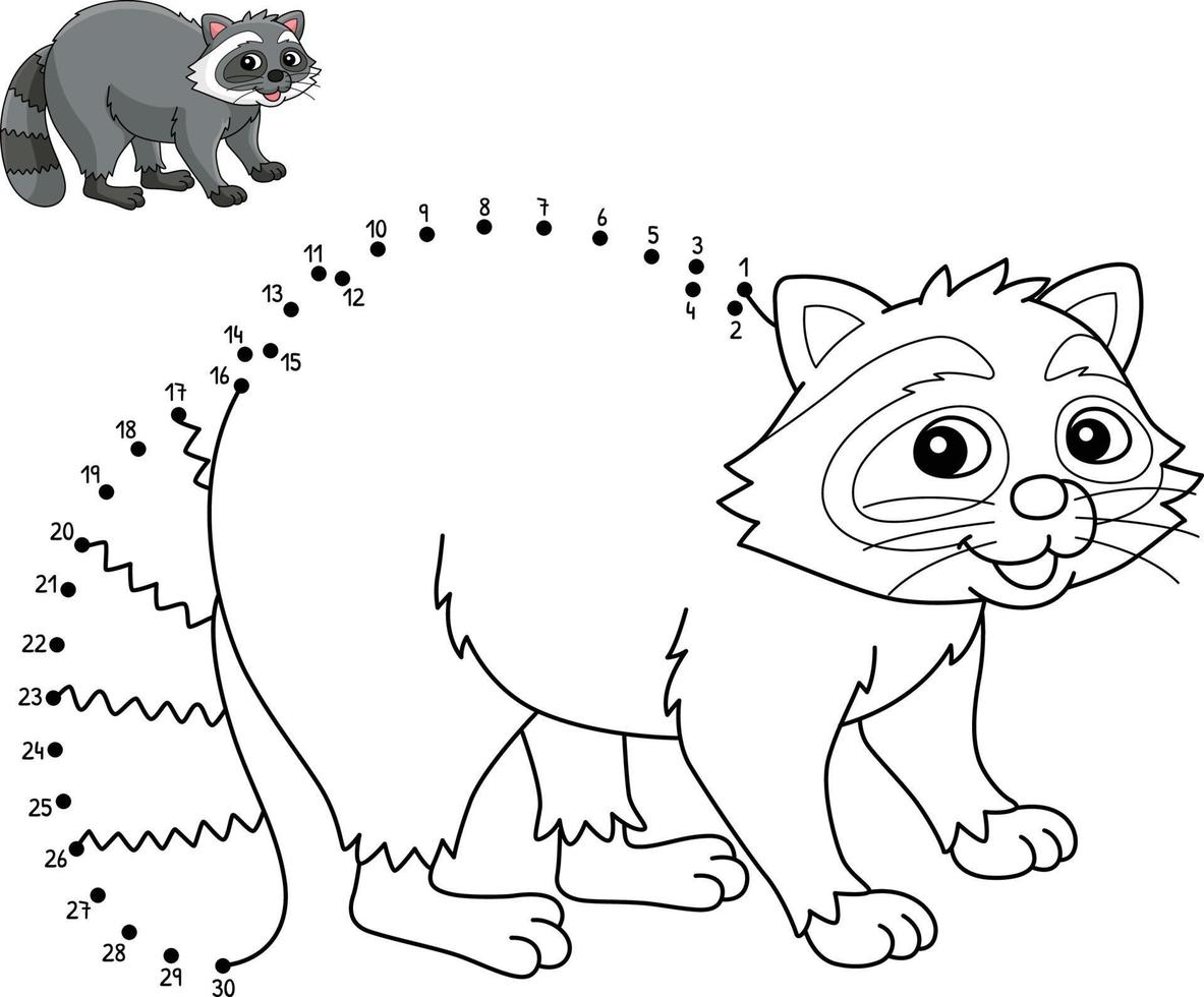 Dot to Dot Racoon Animal Isolated Coloring Page vector