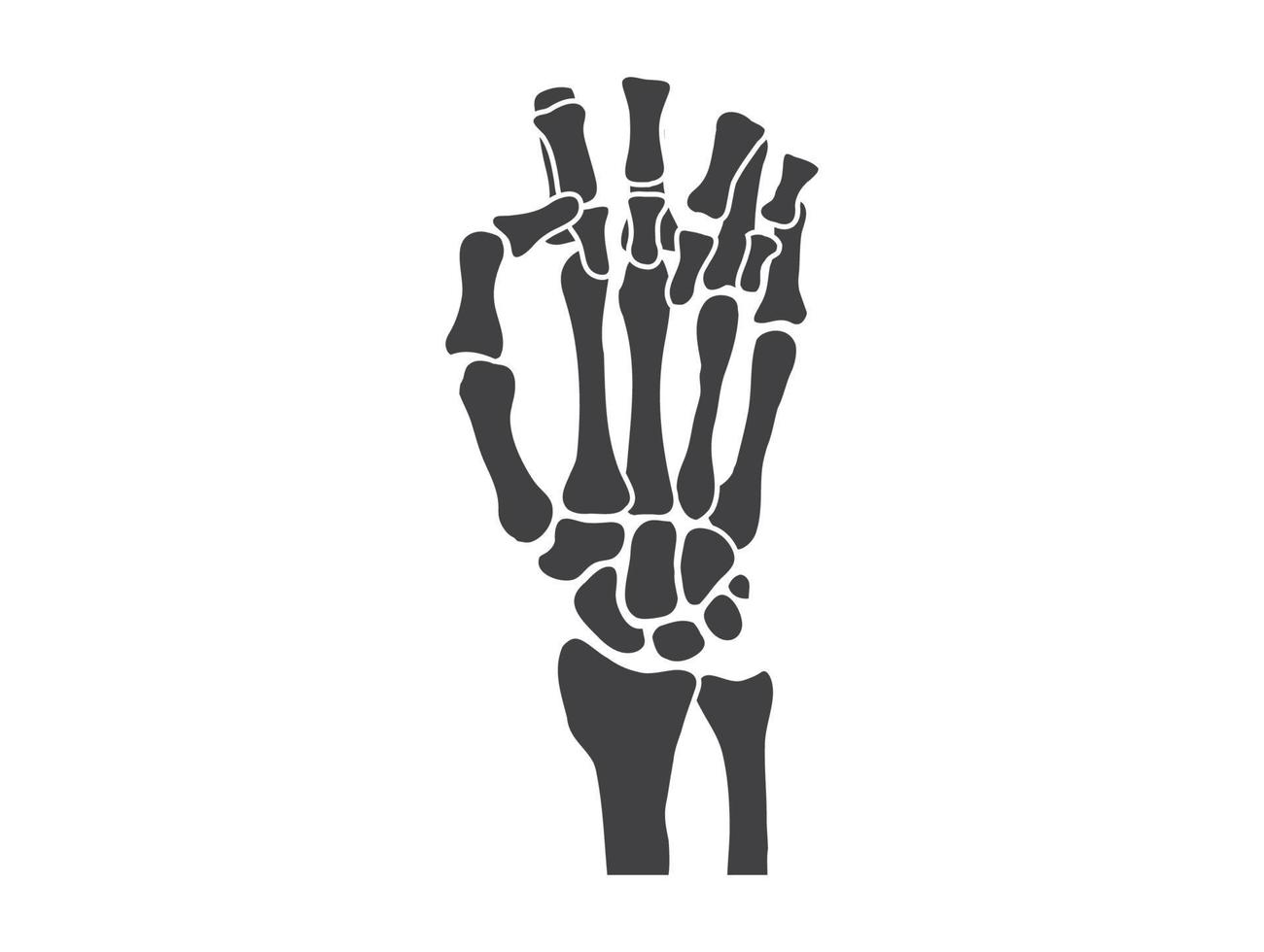 mano huesos blanco y negro humano esqueleto hueso manos vector