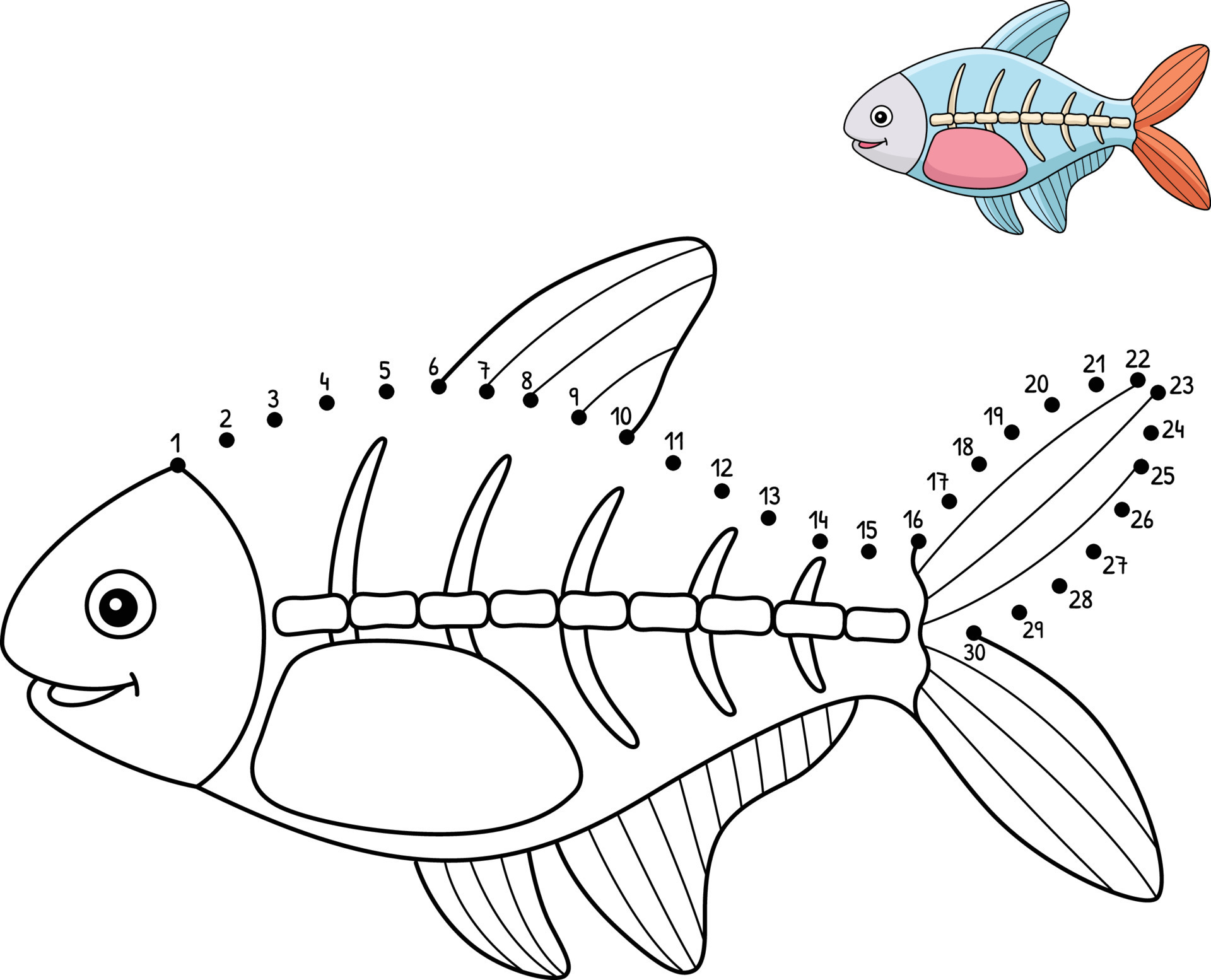 X Ray Fish Drawing