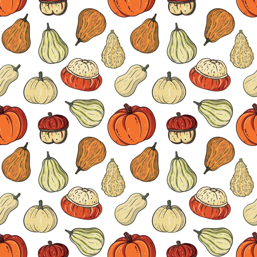 Seamless pattern with autumn pumpkins. Fall, harvest, thanksgiving background. Doodle style. For printing, fabric, textile, manufacturing, wallpapers vector