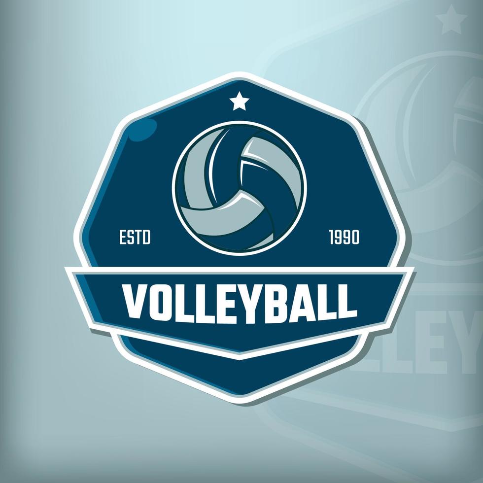 Volleyball sports vector logo on octagonal background