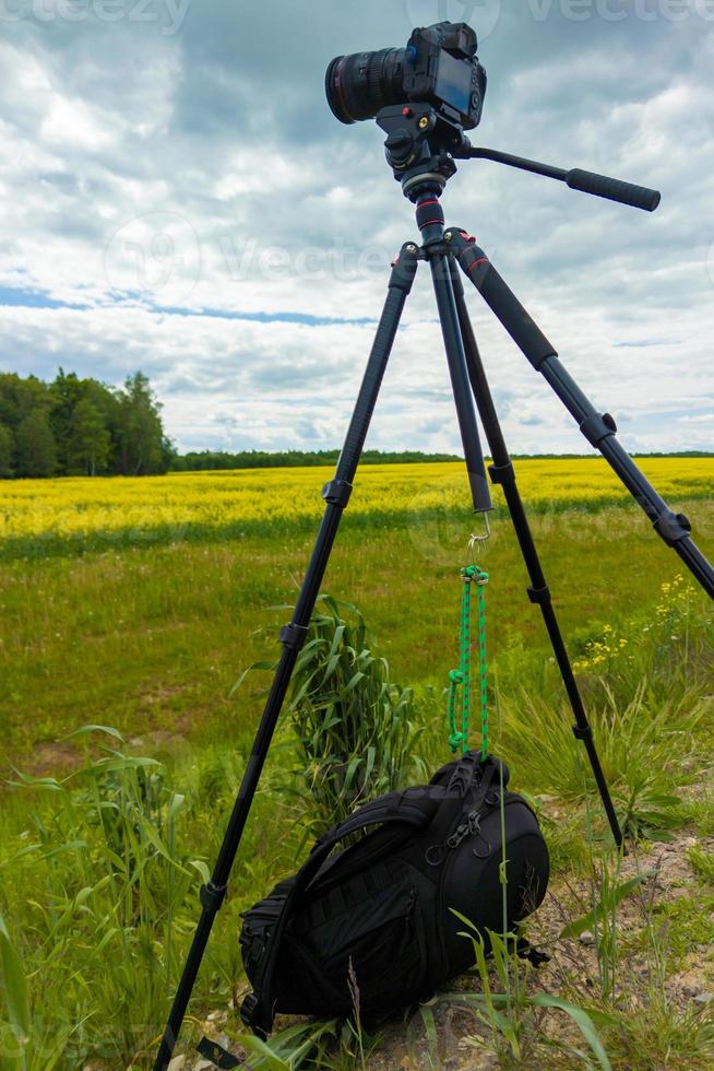 modern professional mirrorless camera on tripod shooting yellow field on tripod, closeup photo