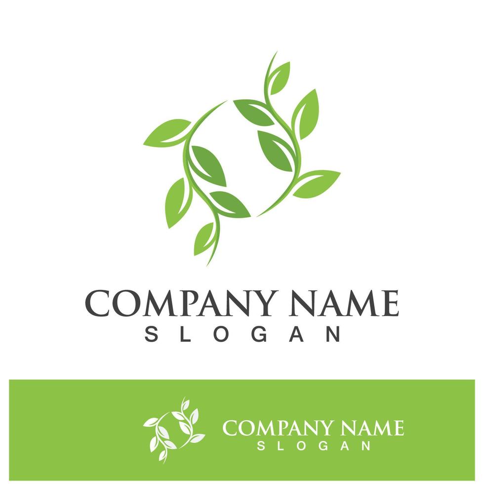 Green tree leaf nature logo images vector