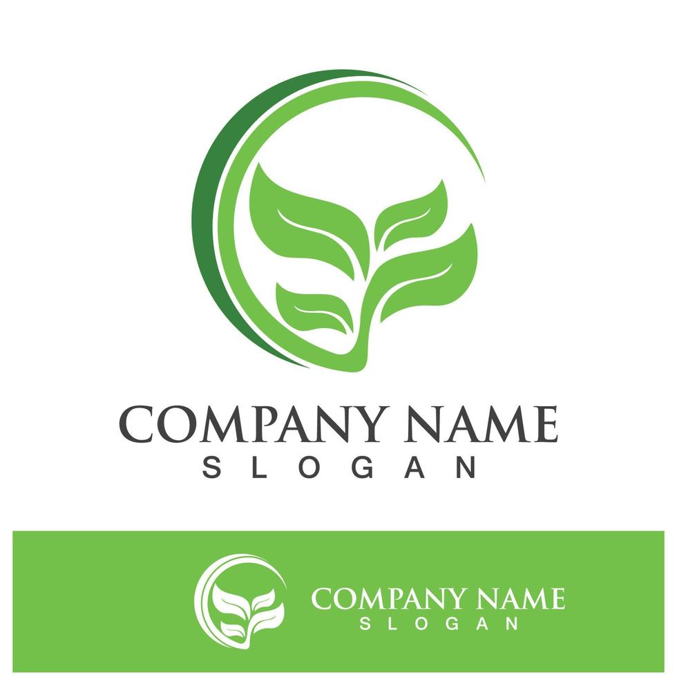 Imágenes de green tree leaf logo vector