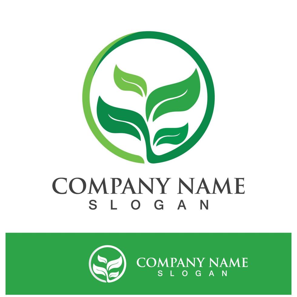 Imágenes de green tree leaf logo vector