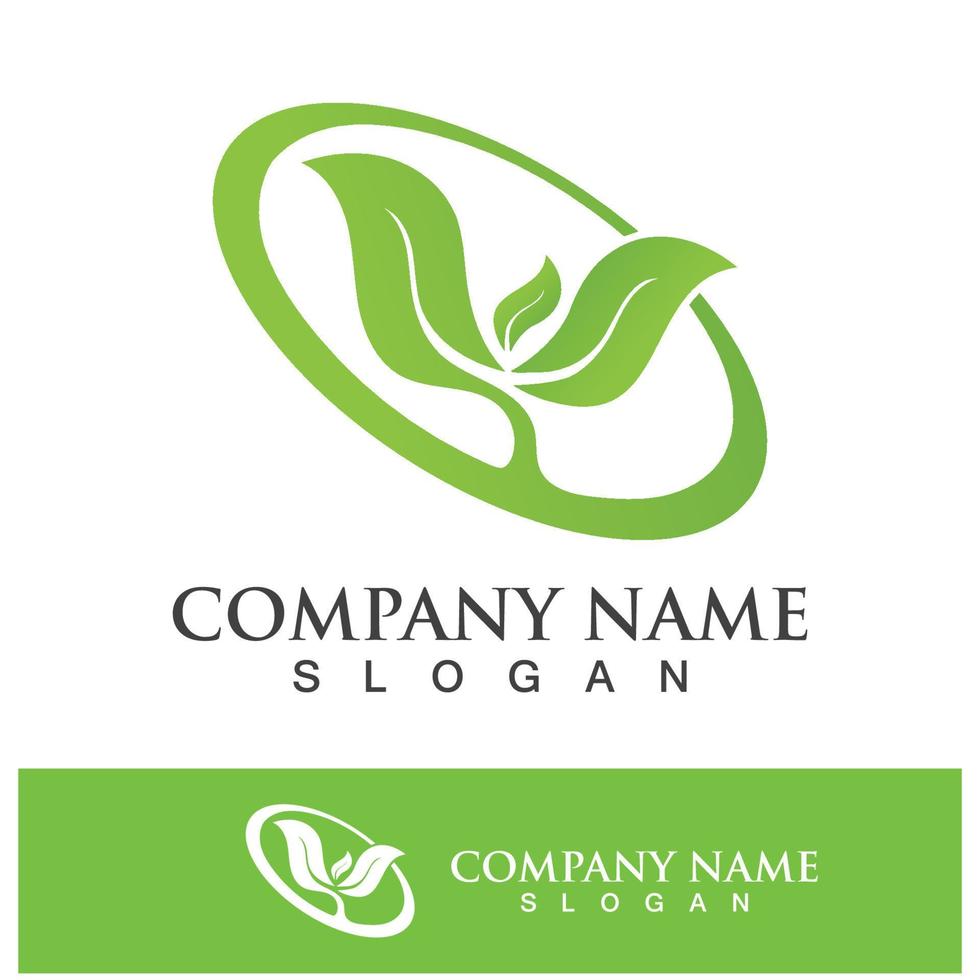 Green tree leaf nature logo images vector
