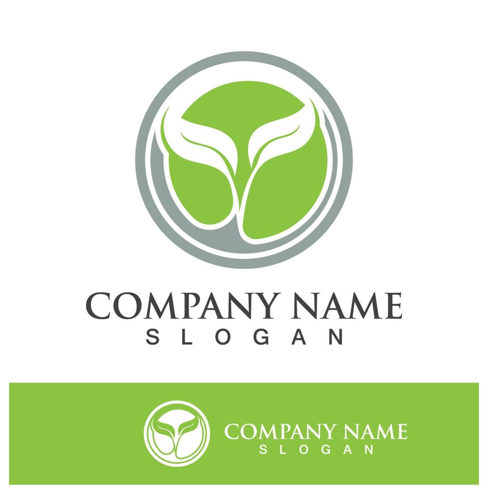 Green tree leaf nature logo images vector