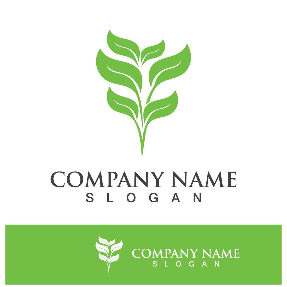 Green tree leaf nature logo images vector