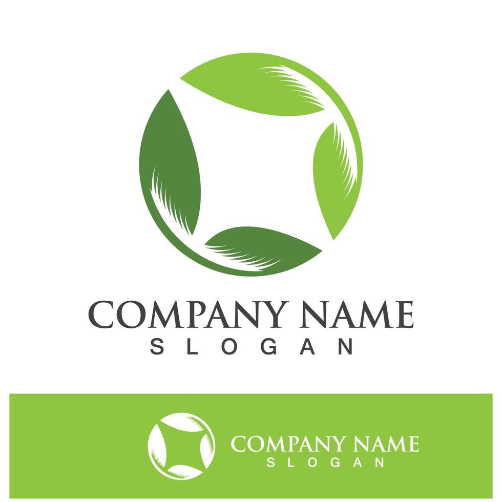 Green tree leaf nature logo images vector