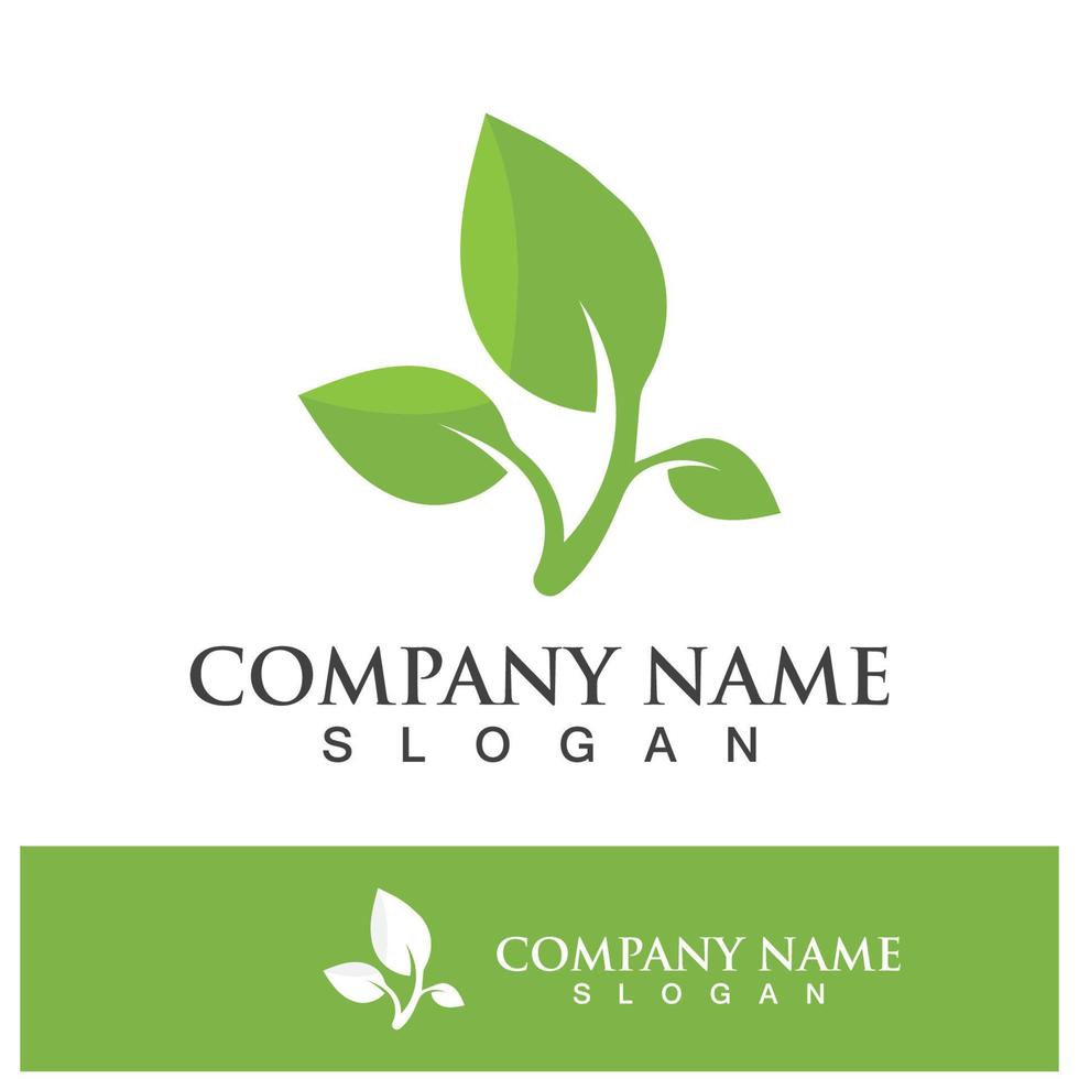 Green tree leaf nature logo images vector