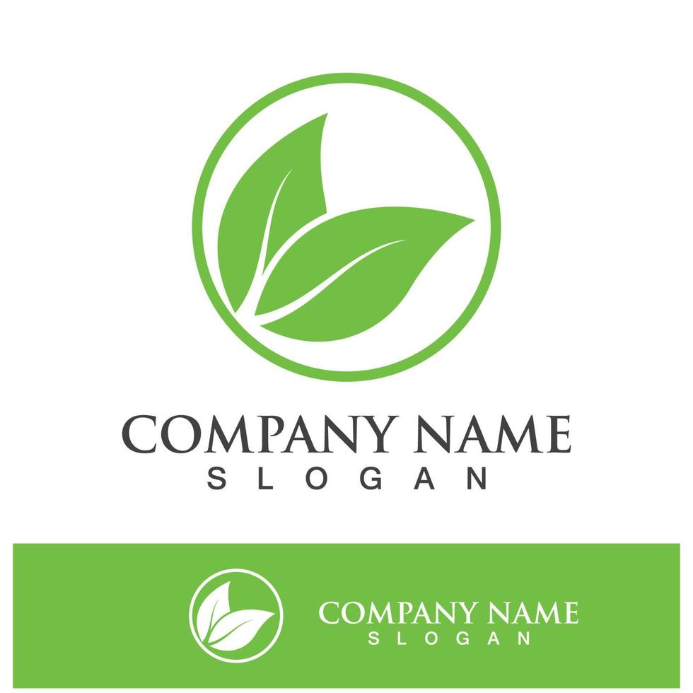 Green tree leaf nature logo images vector