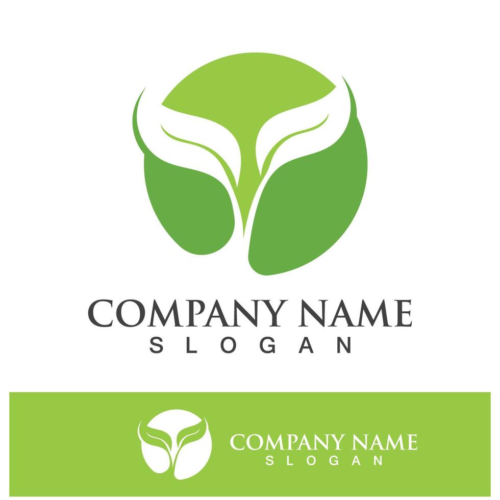 Green tree leaf nature logo images vector