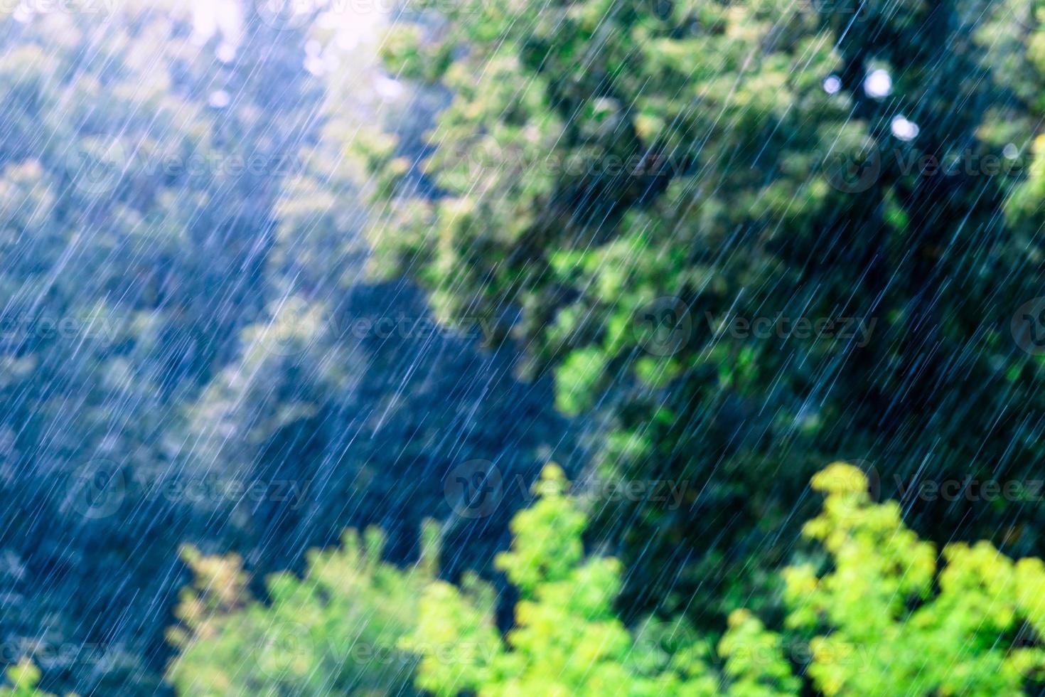 gotas de lluvia largas y rápidas que caen en el bosque verde en condiciones soleadas y ventosas foto